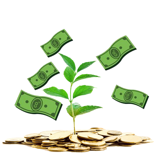 carbon credit by saving carbon